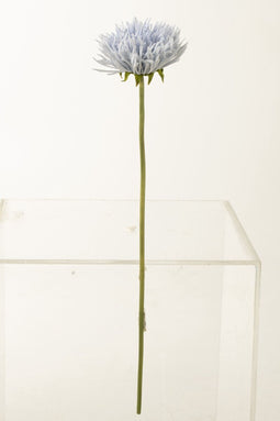 J-Line Chrysant Plastiek Licht Blauw - 12 stuks