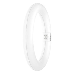 OSRAM 4099854042621 LED 1 stuk(s)