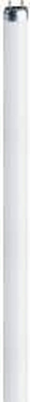 OSRAM TL-lamp Energielabel: A (A++ - E) G5 8 W N/A 840 Buis (Ø x l) 16 mm x 288 mm 1 stuk(s)
