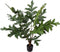 Silk-ka Kunstplant voor Binnen Palm Groen 91 cm