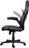 Trust GXT 703 RIYE - Gaming chair - Comfortabele instelbare hoogte en 3D-armsteunen - Zwart