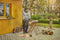 Gardena PowerSaw 250/18V - Accu kettingzaag - Borstelloze motor 8 m/s - Oregon® ketting (1 stuk)