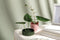Ototo Blossom Bloemstandaard (set Van 2)