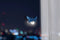 Ototo - Lightbug Nachtlampje op Zonne-energie