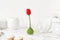 Ototo Tulip - thee ei - rood