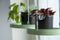 Esschert Design Plantenblad hangend rond S groen
