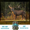 Exclusive by TW - Wildcamera - 4K Full HD - Nachtzicht - IP66 Waterdicht - 16 MP - Groen