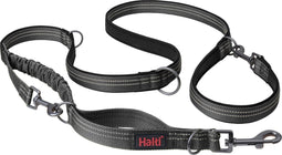 Company of Animals - Anatomy Halti - Hondenriem - 3 in 1 - Grijs - Maat L - van 25-55 kg