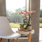 Oudroze Phalaenopsis orchidee - Jewel Treviso - potmaat Ø12cm -