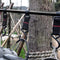 Outdoor Camping Opvouwbare Opknoping Rack Driehoekige Kledingrek Stand Vookware Rack Met 5 Beweegbare Haken & Storage Pouch; Maat M; Merk: Omuky