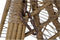 Outdoor Living hangstoel Amazonas exc. frame - natuur