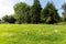 Outdoor Play Kubb spel XL - Speelgoed - Extra grote uitvoering - Geleverd met draagzak - Inclusief spelregels