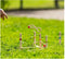 Outdoor Play Ringwerpspel - Speelgoed - Inclusief 5 ringen - Mooie houten set - Ring toss game