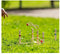Outdoor Play Ringwerpspel - Speelgoed - Inclusief 5 ringen - Mooie houten set - Ring toss game