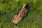 Outdoor Play Ringwerpspel - Speelgoed - Inclusief 5 ringen - Mooie houten set - Ring toss game