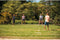 Outdoor Play slagbal set - Speelgoed - Knuppel en slagplank - Inclusief thuisplaat - Inclusief tennisbal