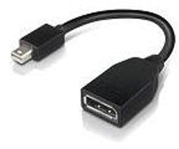 Lenovo 4X90L13971 - Mini-DisplayPort naar DisplayPort adapter - 4K ondersteuning - Zwart