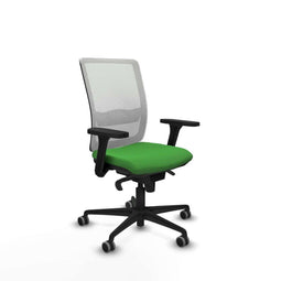 Piqueras y Crespo 3D036G0 - Bureaustoel - Verstelbare hoogte met armleuning - Groen