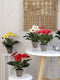 Mica Decorations Gerbera Kunstplant in Bloempot Stan - H35 x Ø30 cm - Rood