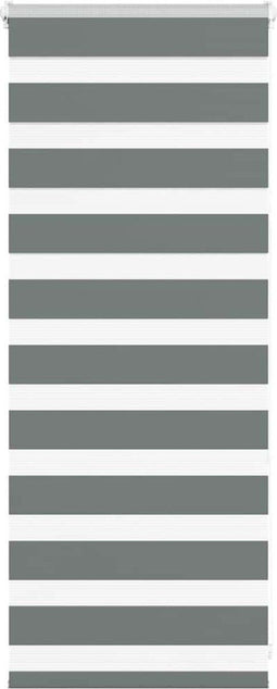vidaXL - Zebra - rolgordijn - 60x100 - cm - stofbreedte - donkergrijs - 55,9 - cm