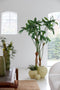 Light & Living Vaas Strawberry - Geel - 35x34x33cm - Modern