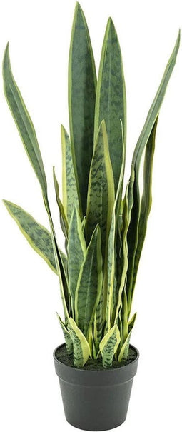 By-Boo Kunstplant Sansevieria - Medium