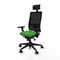 Bureaustoel met hoofdsteun Piqueras y Crespo 3D066N1 Groen