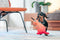 Animal Boulevard Df-ka-or-ns - Speelgoed Voor Dieren - Hond - Rd Durables Kangoeroe Oranje- 23,5cm