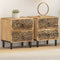 vidaXL - Nachtkastjes - 2 - st - 40x33x46 - cm - massief - mangohout