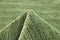 MOMO Rugs Panorama Uni Green Vloerkleed - 200x300 - Rechthoek - Laagpolig Tapijt - Modern - Groen