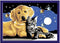 Ravensburger CreArt Stargazing Sweetness - Schilderen op nummer voor kinderen