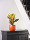 Ter Steege Bloempot Oranje D 15 cm H 13 cm Opening 11 cm