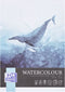 Oxford - Aquarelblok oxford watercol a4 20v 300gr gelijmd | 5 stuks