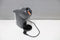 Krups KP243B - Koffiecupmachine - 15 bar pompdruk - Anthracite