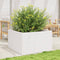 vidaXL - Plantenbak - 80x80x46 - cm - massief - grenenhout - wit