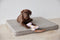 OYOY Milo Grid - Hondenkussen - Klein - 48x35cm