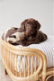 OYOY Otto Hondenmand Small - Rotan - H29 x L52 x B40 cm