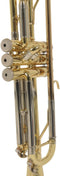 Bach Bb Trompet TR655