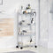 vidaXL - Opbergtrolley - 4-laags - 37x28x95 - cm - acryl - transparant