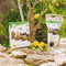 TERRA NOSTRA Brandnetelmest - Concentraat - 1,5 L
