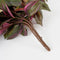 Mica Decorations Tradescantia - Kunst Hangplant - Hoogte 54 cm - Bordeaux