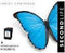 SecondLife - HP 302 XL - Inktcartridge 1100 pagina's - Zwart