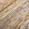 vidaXL - Tuinscherm - 100x1000 - cm - riet
