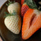Plant in a Box - Fragaria White Pine - Set van 6 - Witte aardbeien - Ananasaardbei - Pineberry