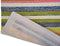 Vloerkleed Brink & Campman La Vida 476801 - maat 140 x 200 cm