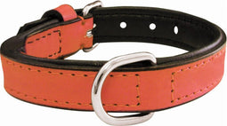 Dog collar Gloria Padded Coral (40 x 2 cm)