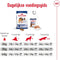 Royal Canin Maxi Adult - Hondenvoer - 15 kg - Ondersteunt spijsvertering en gewrichten