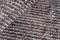 Rainbow Peacock Vloerkleed - 250x350 - Rechthoek - Laagpolig,Structuur Tapijt - Modern - Meerkleurig