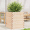 vidaXL - Plantenbak - 60x60x68,5 - cm - massief - grenenhout
