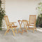 vidaXL - Tuinstoelen - 2 - stuks - Massief - Teakhout